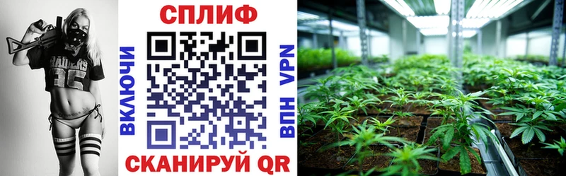 Купить закладку Марихуана Вейп ТГК Амфетамин Гашиш МЕФ Дубовка