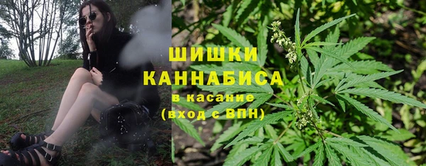 эйфоретик Инта