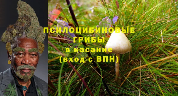 тгк Зеленокумск