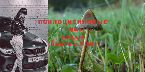 наркотики Зерноград