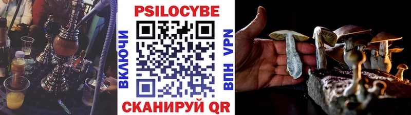 Купить закладки  Дубовка  Псилоцибиновые грибы Psilocybine cubensis 